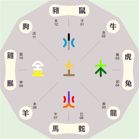 辰屬金|五行